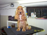 /album/fotogalerie/foto-dusan-ii-151-jpg/